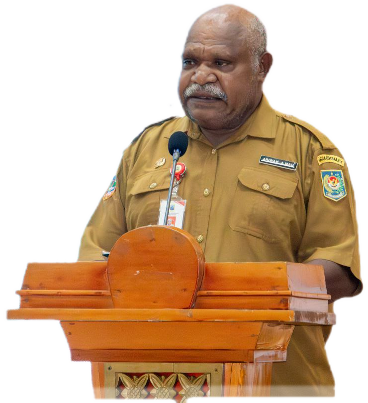 Kepala Dinas Komunikasi, Informatika, Statistik dan Persandian Provinsi Papua Tengah